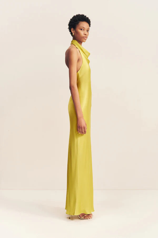 SOFIA HIGH COWL OPEN BACK MAXI DRESS - LIME
